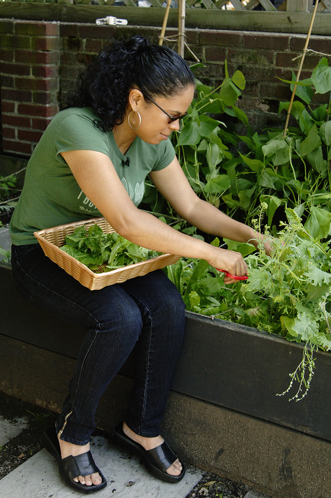 Urban Gardening Made Easy Green America