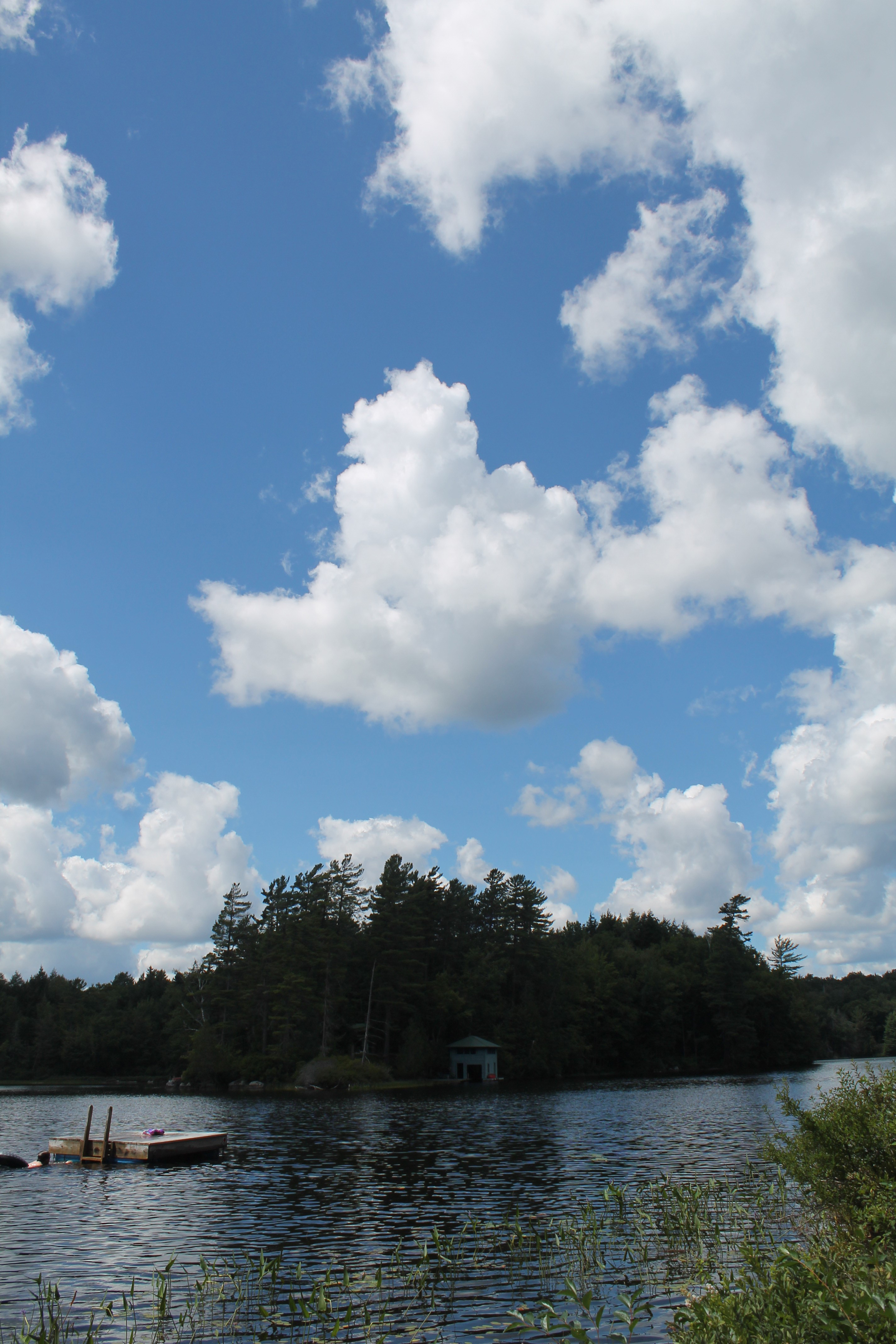 clouds in a sunny summer sky over a northern lake