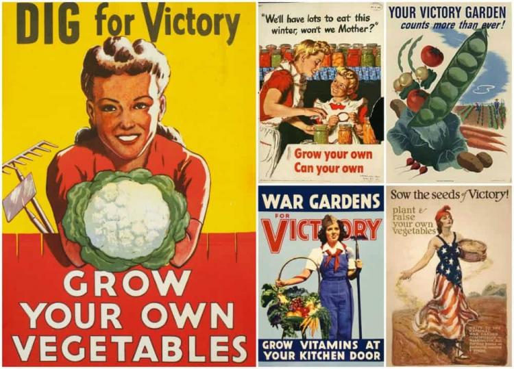Grow-a-Modern-Day-Victory-Garden-e1440821121578.jpg