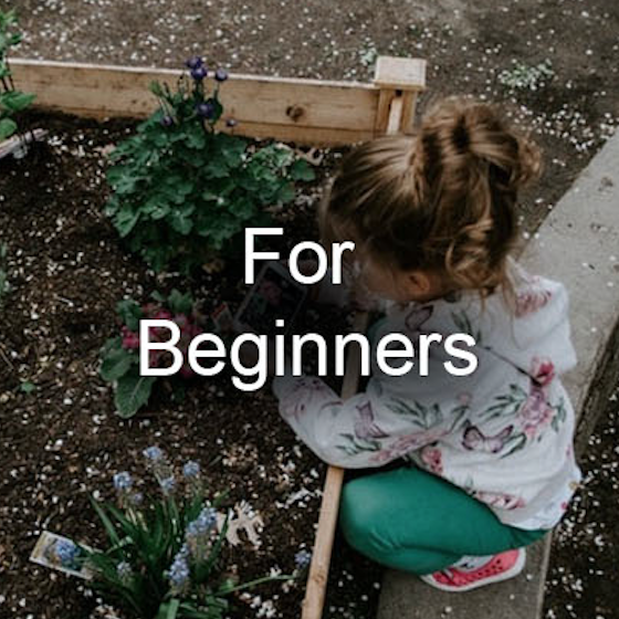 For beginners