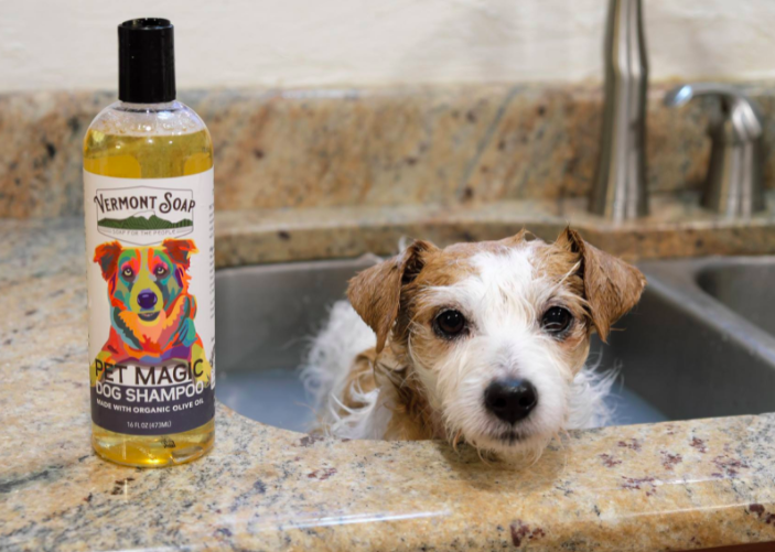 Dog in a sink next to Vermont Soap dog shampoo