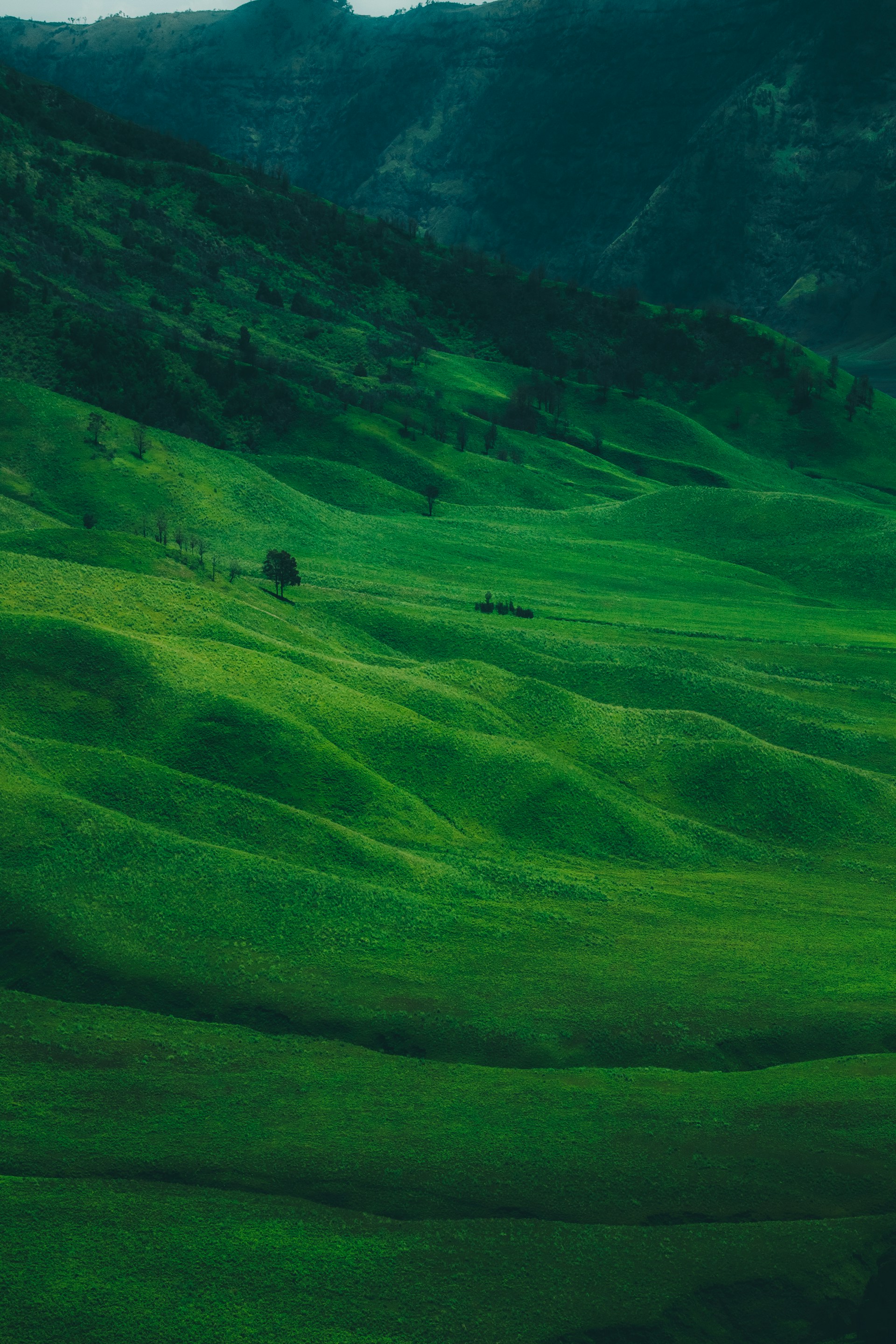 BG IMage