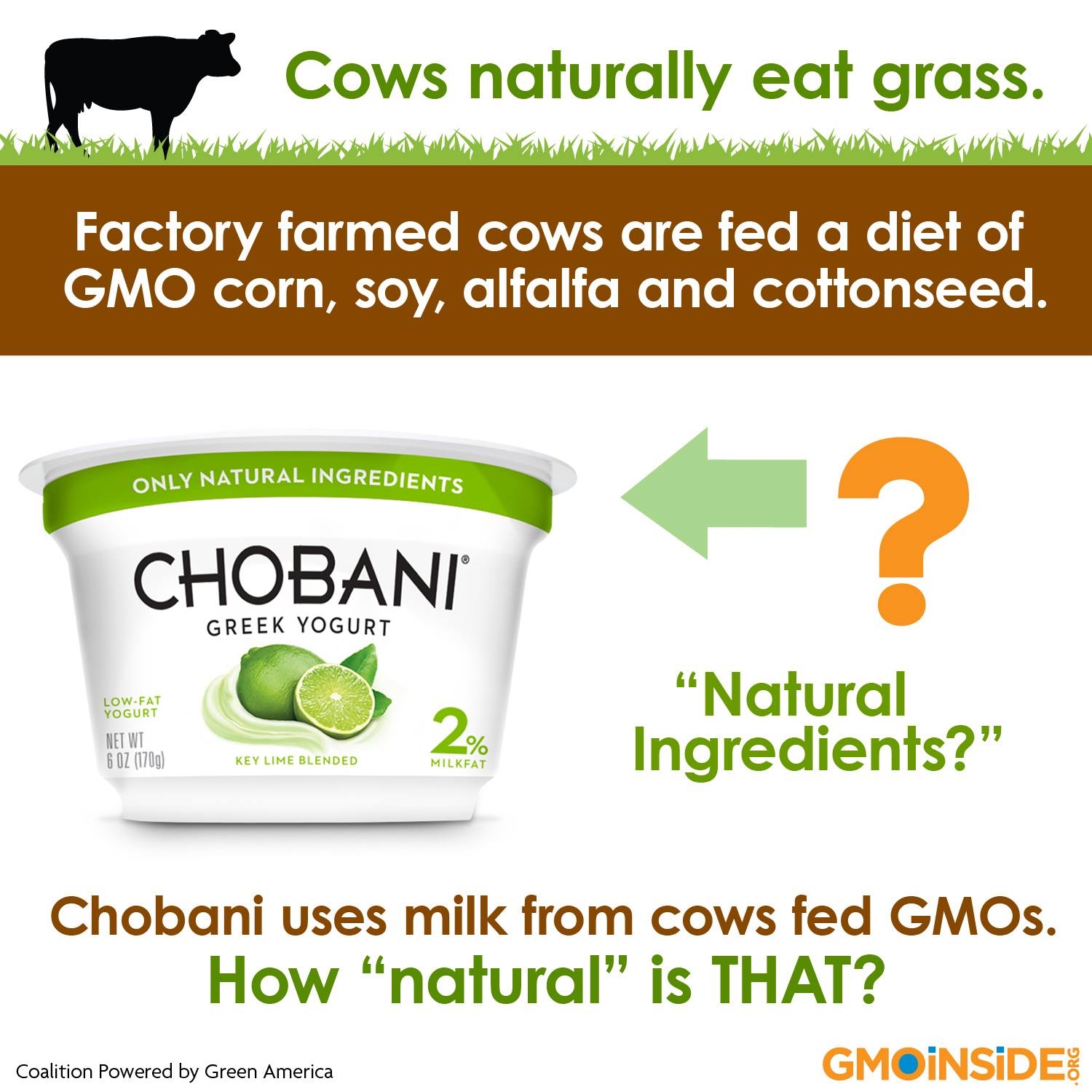 Cows-naturally-eat-grass.jpg