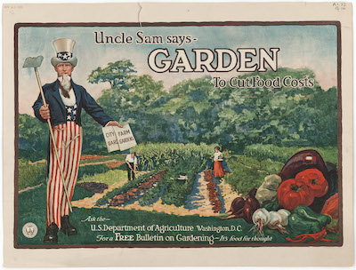 Old victory garden poster of uncle sam in a garden. Climate Victory Gardens.