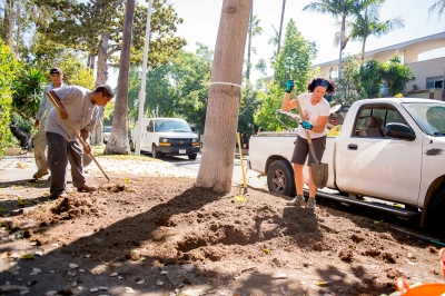 Three people planting a parkway garden dig soil beside a sidewalk.