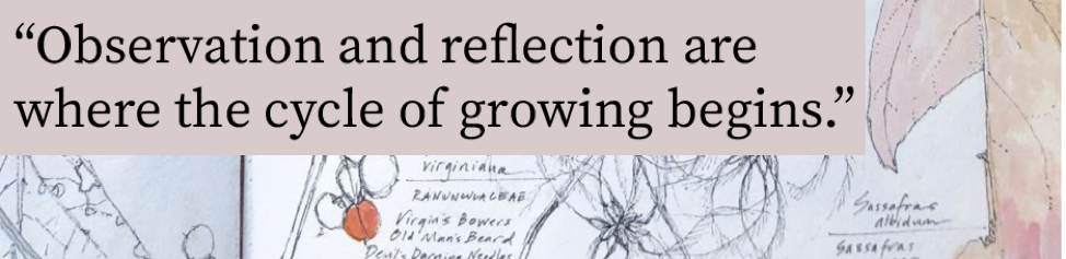 Garden sketch with quote: "Observation and reflection are where the cycle of growing begins."