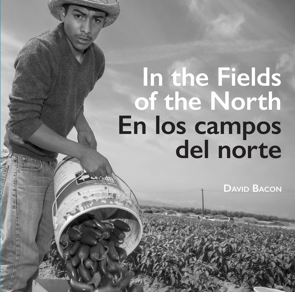 cover of "In the Fields of the North"