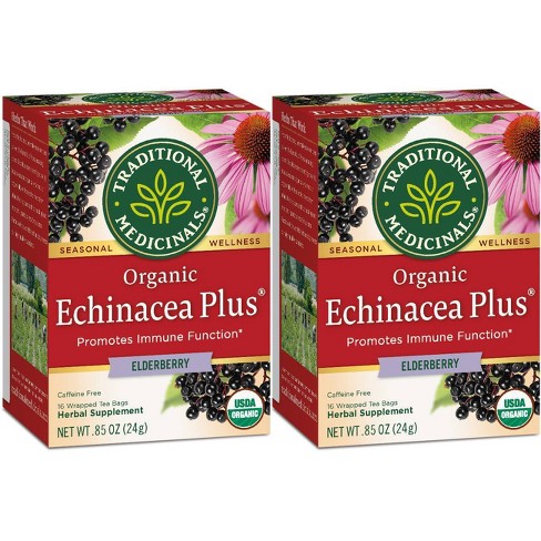 echinacea immune support tea