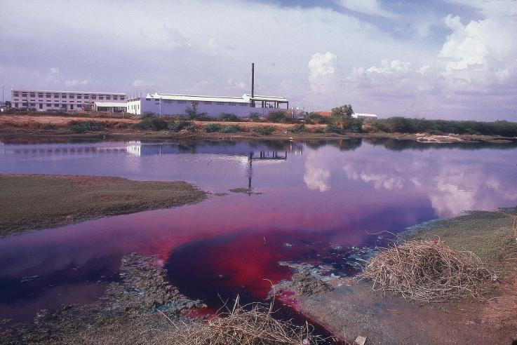 river dyed purple from factories