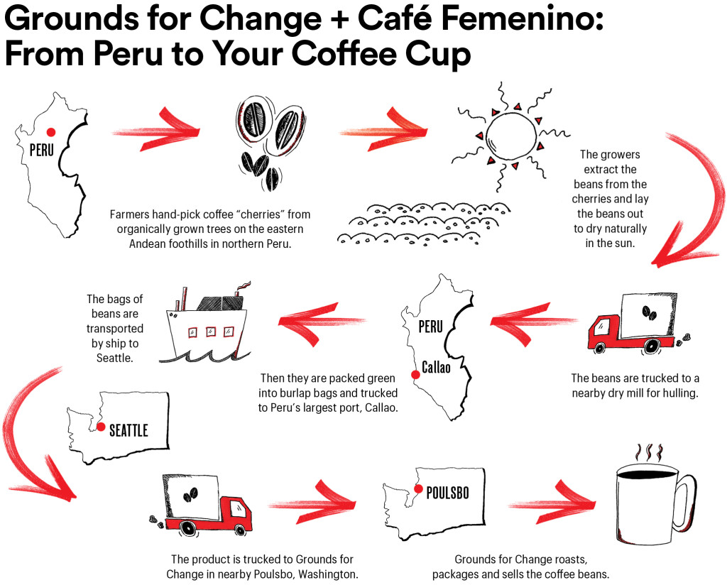 Grounds for Change supply chain illustration