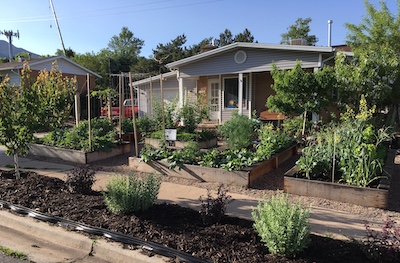 beautiful front yard full of edible plants and garden beds