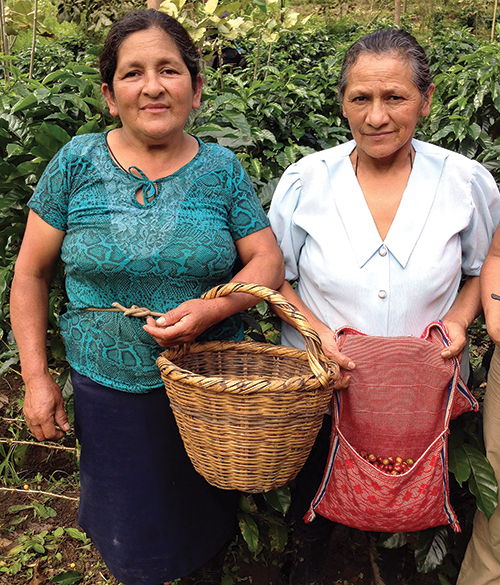 Grounds for Change and Cafe Femenino coffee growers pause to display their harvests on an organic coffee farm in the Andean foothills of Peru. 