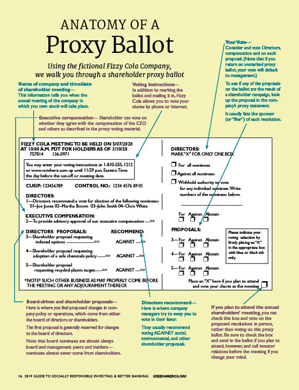 Anatomy of a proxy ballot