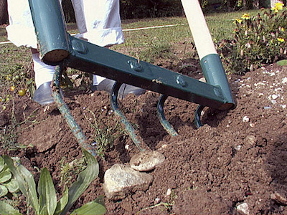 broadfork in soil, preparing soil, climate victory garden