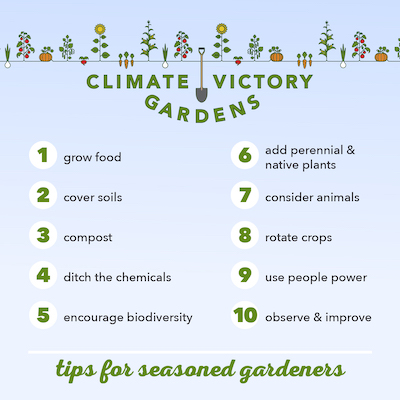 climate victory gardening practices for seasoned gardeners