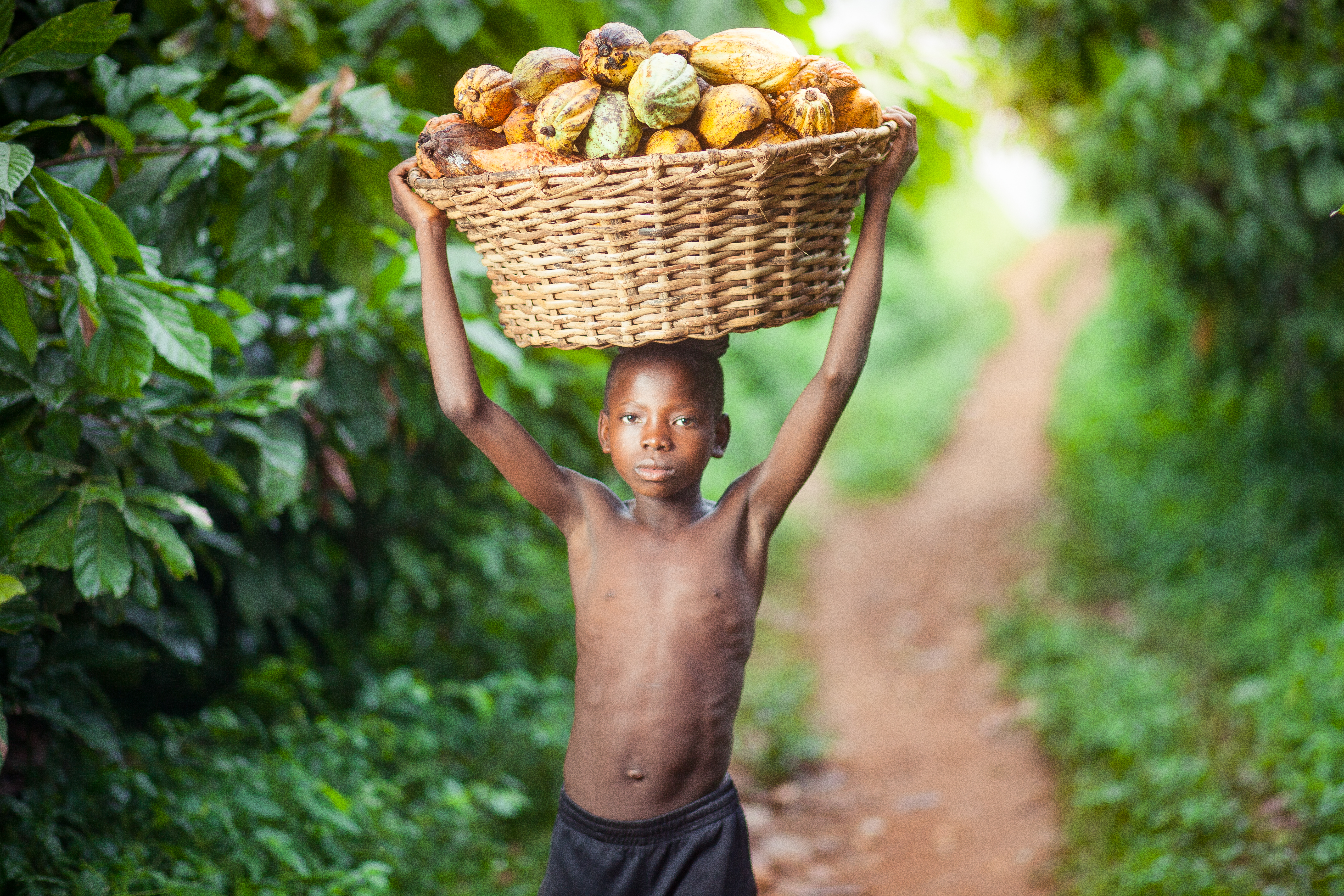 Child carrying basket of cocoa by By Charles William Adofo