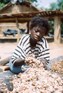 Young girl mixing cocoa beans.