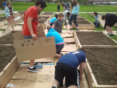 kids work around garden beds filled with soil, covering the grass with cardboard to mulch the paths
