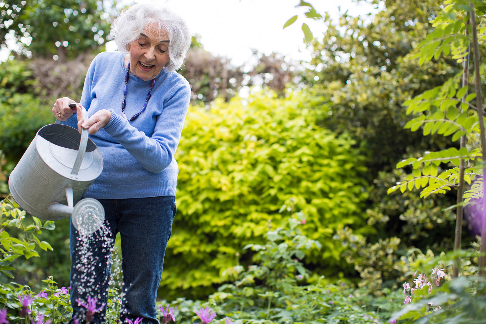 How to Start a Climate Victory Garden | Green America