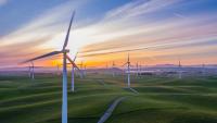 windfarm at golden hour; wind is an important factor for reducing carbon emissions