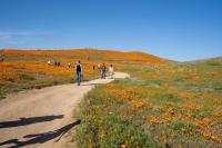 Photo by Melissa Kopka