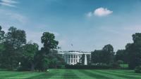 white house lawn and surrounding trees 