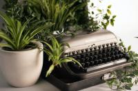 A typewriter surrounded by plants; words are often a key element of greenwashing.