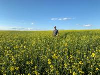 Tyler Streit smiling in a field of mustard flowers