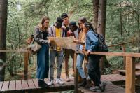 a group of young people on a walking bridge in the woods looking at a map together.