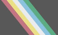 Disability Pride flag, which is dark gray with stripes in red, yellow, white, blue, and green.