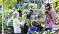 A Black man is holding a tray of potted tomatoes. He is looking at a blonde child and talking with a happy look on his face. He is surrounded by five children, including the blonde child. To his immediate left and right are his daughter and son, respectively. A mom leans over from outside the circle of children to observe. They are all in a vibrant community garden.