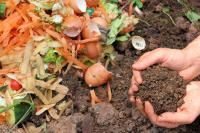 food scraps and hands holding compost, organic fertilizers for your climate victory garden