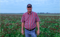 Image: Indiana farmer Rick Clark in field of crimson and balansa clover cover crops.