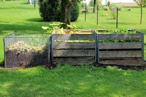 Composting Tuesday:  A Worm Bin is a Great Solution for Urbanites