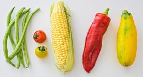 Image: beans, tomatoes, corn, peppers, and squash. Title: How To Eat Organic Food on a Budget