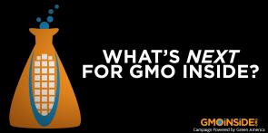 WHat's Next for GMO Inside?
