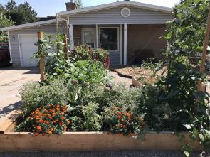 John and Holly Trimble's garden