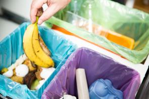 putting a banana peel in the compost