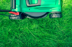 Image: lawn mower on grass. Title: 5 Reasons a Climate Victory Garden is Better than a Lawn