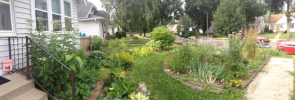 Image: residential front yard with diverse plantings. Title: Need Help in your Climate Victory Garden? Find (or Become!) a Master Gardener