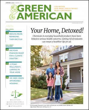 cover of Your Home Detoxed