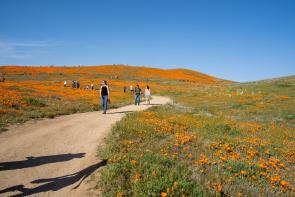 Photo by Melissa Kopka