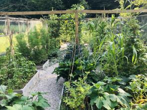 Priscilla Woolworth's Climate Victory Garden