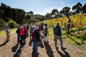 Jesse Smith stands on the edge of a vineyard speaking to about 20 people. He is hosting a workshop on nutrient cycling.