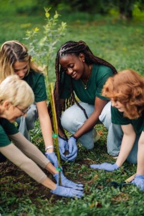 people working together to plant a tree