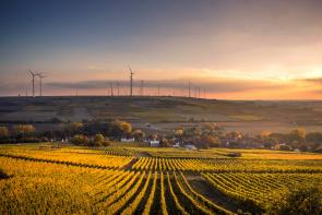 Dozens of Major Food Companies, Farmers, and Groups Send Official Guidance to USDA for New $700 Million Regenerative Pilot Program