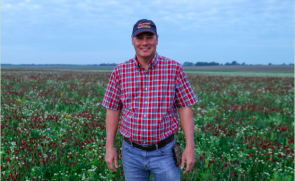 Image: Indiana farmer Rick Clark in field of crimson and balansa clover cover crops.