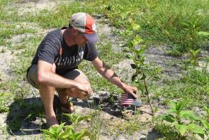 Memorial Day Tree Planting