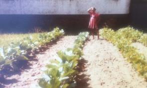 vintage photo of young girl in large urban garden