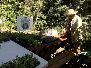 Image: person working in garden. Topic: Growing Hope Gardens Help the Homeless